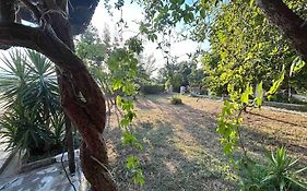 Yourlittlemiracle-Panoramicview+Firepit+Garden+Bbq